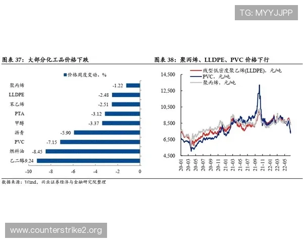 以1xBet体育为核心的全球体育娱乐与赛事数据解析新视角趋势分析
